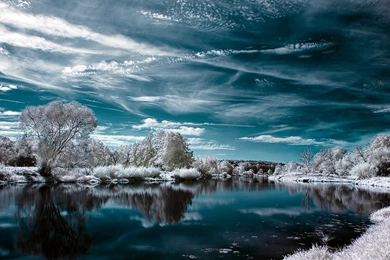 Winter Trees   Scenery Pics Wallpapers (22173853)   Fanpop