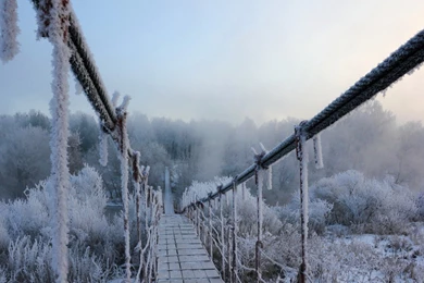 Frozen Bridge & Winter Trees Wallpapers