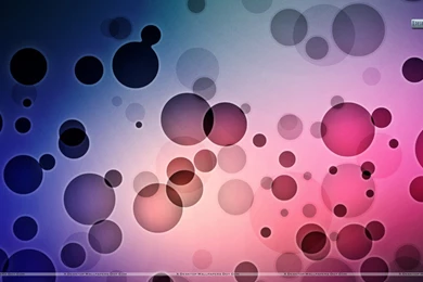 Cute Wallpaper Images Widescreen   Fullwidehd.com