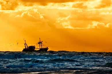 Ocean Explore Wallpapers