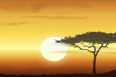 Explore Skin Savannah Matching Wallpapers HD Free   134315 ...