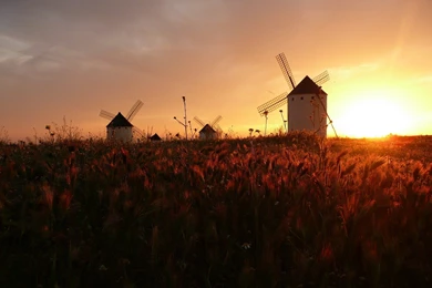 Windmill Computer Wallpapers, Desktop Backgrounds