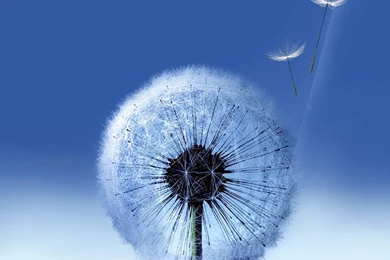 Galaxy S4 Wallpapers HD Beautiful, Stunning Wallpapers