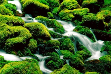 Desktop Wallpapers Download,desktop Wallpapers