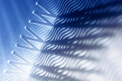 Desktop Wallpapers · Gallery · Computers · WWW And Commonly Known ...