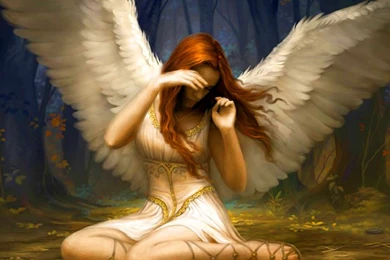 Angels & Fae   Warrior Nation
