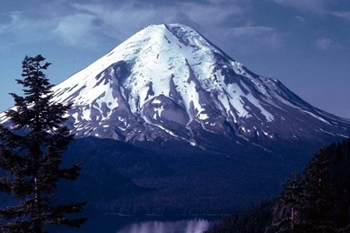 Winter Snow Wallpaper,snow Leopard Wallpapers,snow Wallpapers Free ...