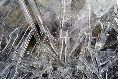 Winter: Winter Snow Lake Trees HD Pictures For High Resolution HD ...