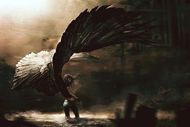 Fantasy Fallen Angel Searching For Pics Of Angels