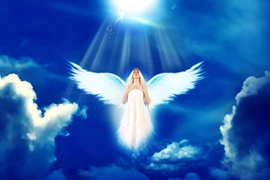 3D Angel   Android Apps On Google Play