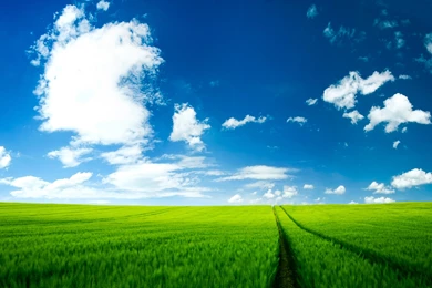 Beautiful Summer Landscape Wallpapers Hd Wallpapers With 2560x1600 ...