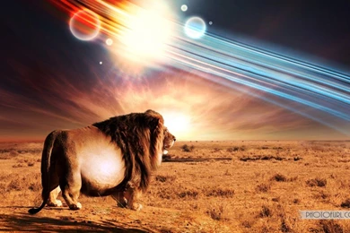 Best Wallpapers Download