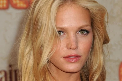 Erin Heatherton Wallpapers For PC
