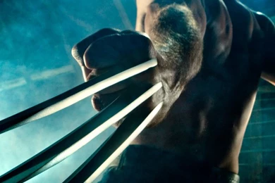 Xmen   Wolverine iPhone Wallpapers / IPod Wallpapers HD   Free Download