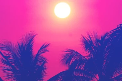 Neon / Hot Pink Blue Sunset Palms Iphone Wallpapers Phone ...