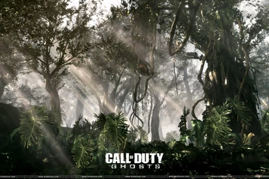 CALL OF DUTY WALLPAPER 5814 Picture Daily Update