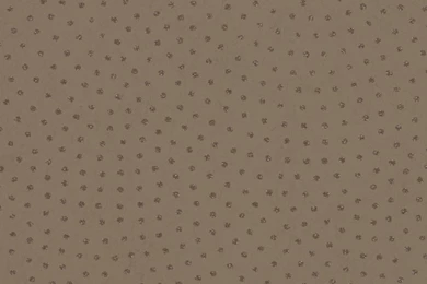 Rivo Wallpapers By Romo