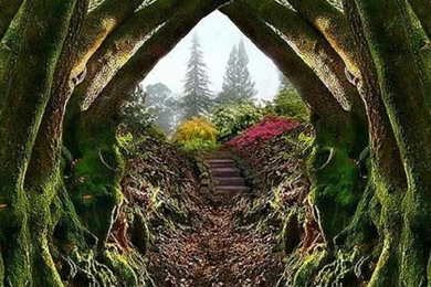 Entrance To The Secret Garden Wallpapers   (