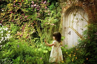 Secret Garden Wallpapers   (