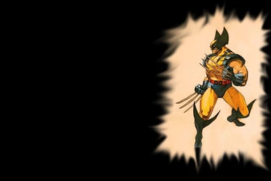 Wolverine Wallpapers   Wolverine Wallpapers (3508397)   Fanpop