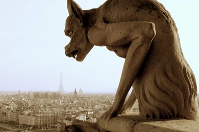 Gargoyle Wallpapers   (