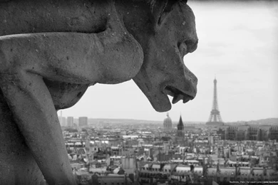 Download Free HQ Gargoyle Wallpapers   Hqwallbase.pw