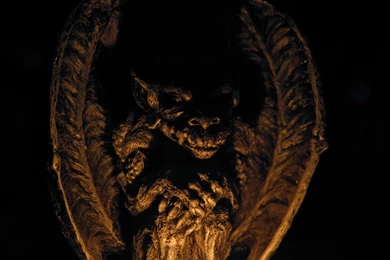 Erwähnenswertes » Fotos Und Wallpapers