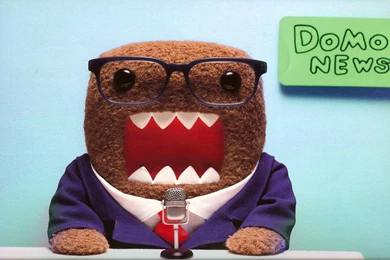 Download Domo Kun Wallpapers