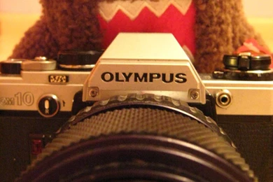 Say Cheese To Domo Kun By Rainy mood On DeviantArt