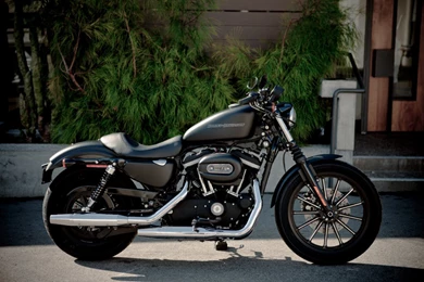 Harley Davidson Iron 833 Wallpapers (5)