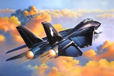 49 Grumman F 14 Tomcat HD Wallpapers