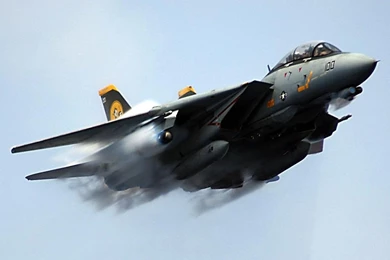 1024x768 Grumman F 14 Tomcat Desktop PC And Mac Wallpapers