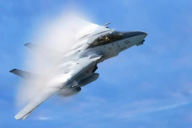 Picture Of F14 Tomcat Rear