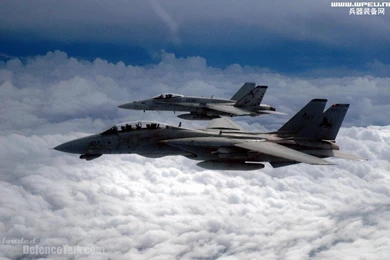 U.S. Navy F14 Tomcat Fighter
