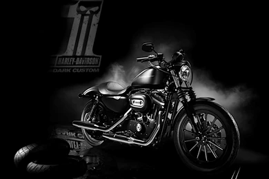 Harley Sportster Nightster Custom