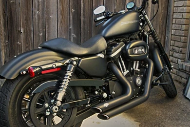 Wallpapers Of Wallpapers 2015 Harley Davidson Iron 883