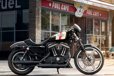 2015 Harley Davidson Iron 883 Wallpapers