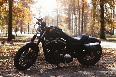 Iron 883 By Wannaberacer On DeviantArt