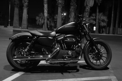 V & H Straightshots Slip ons On 883 Iron   YouTube