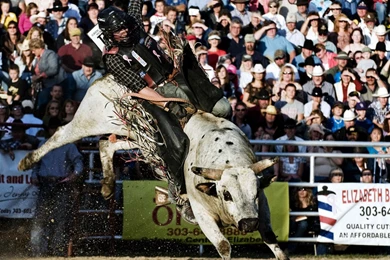 Bull Riding Athletes Wallpapers For Android Download Free