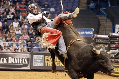 BULL RIDING Bullrider Cowboy Western Cow Extreme Bull Rodeo ...