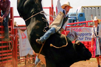 Cool Bull Riding Wallpaper Images Pictures Becuo