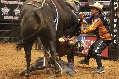 Bull Riding Bullrider Rodeo Western Cowboy Extreme Cow (34 ...