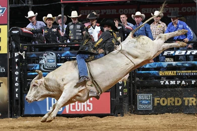 Bull Riding Bullrider Rodeo Western Cowboy Extreme Cow (31)_JPG ...