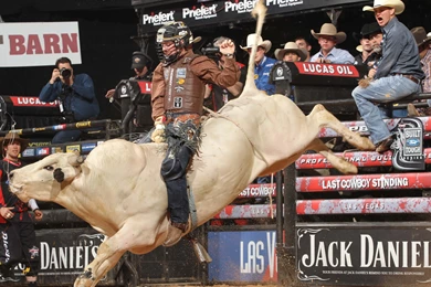 Bull Riding Bullrider Rodeo Western Cowboy Extreme Cow (28 ...