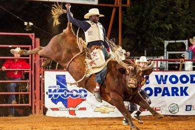 BULL RIDING Bullrider Cowboy Western Cow Extreme Rodeo D Wallpapers ...