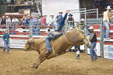 Bull Riding
