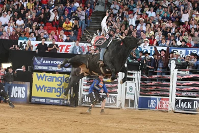 Bull Riding Bullrider Rodeo Western Cowboy Extreme Cow (19)_JPG ...