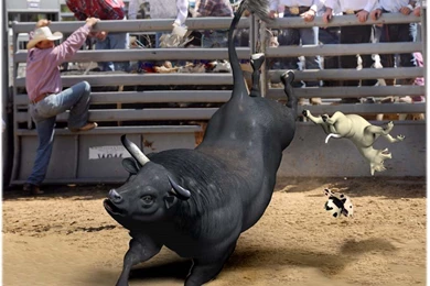 Sticky's Web Page   Rodeo Hat, YEE haw!!!