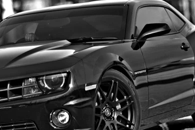 Where To Buy Black Camaro Backgrounds iPhone 6 Wallpapers 37716 ...